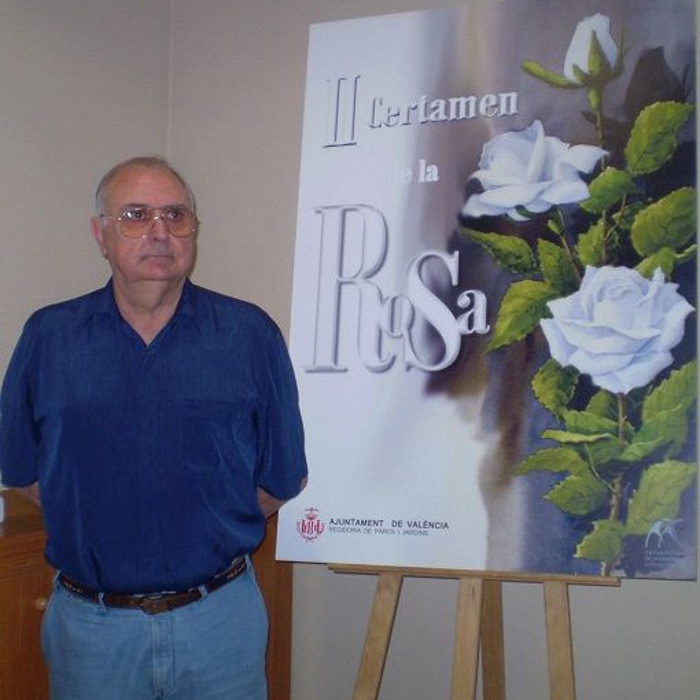 Rams Lluch, José Francisco